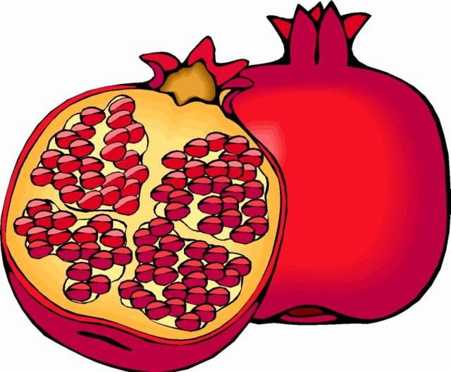 Pomegranate fruit clipart image
