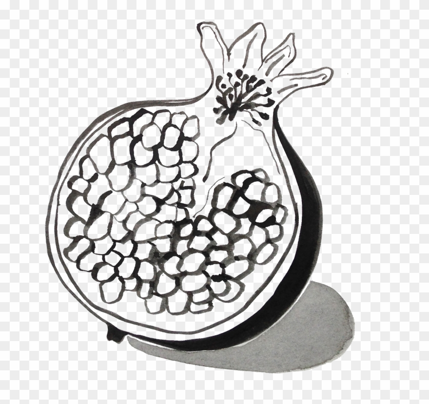 Pomegranate drawing getdrawings.