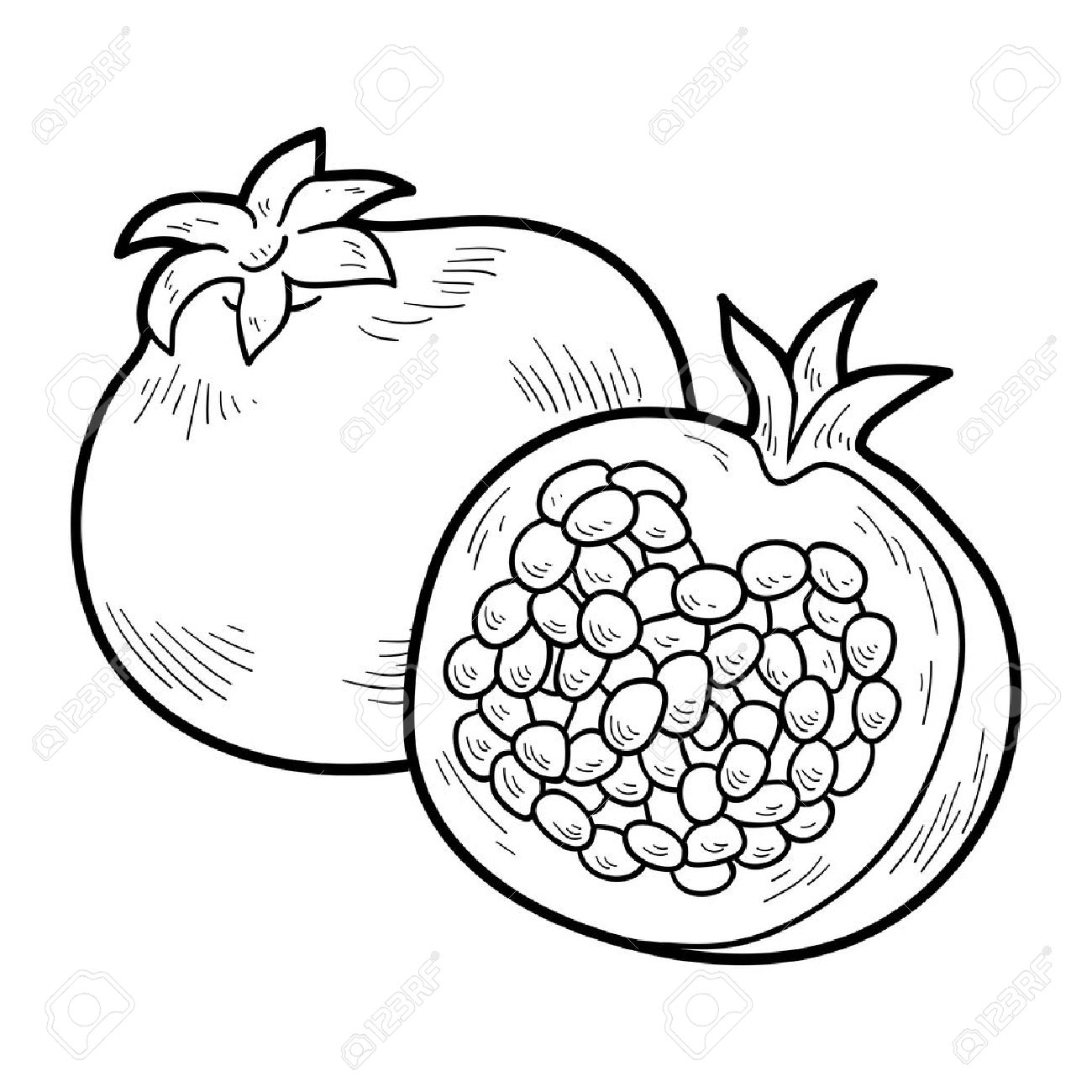 Pomegranate clipart black and white