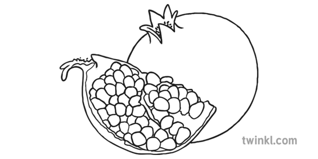 Pomegranate Black and White Illustration