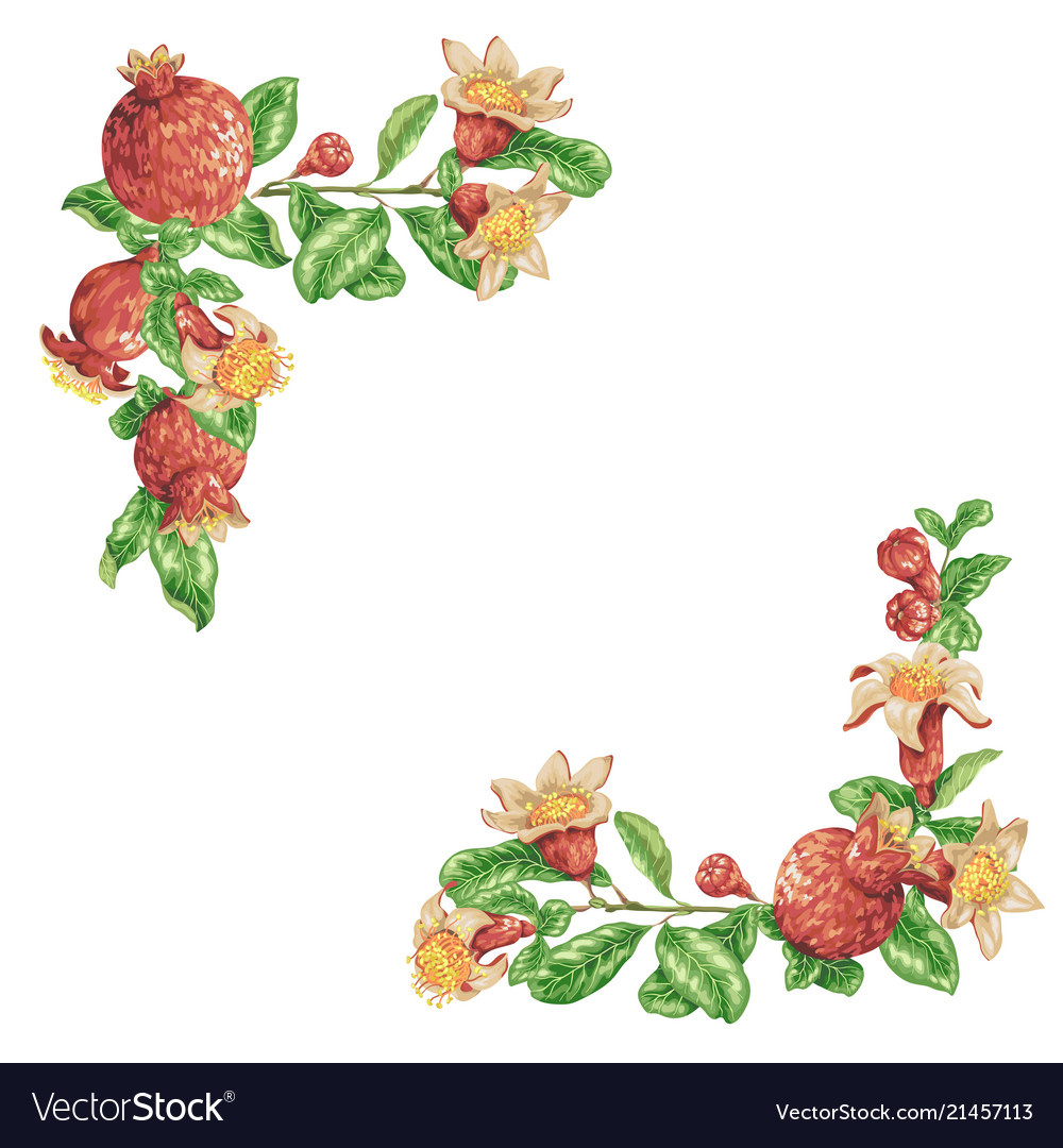 Angle border frame with fresh juice pomegranate
