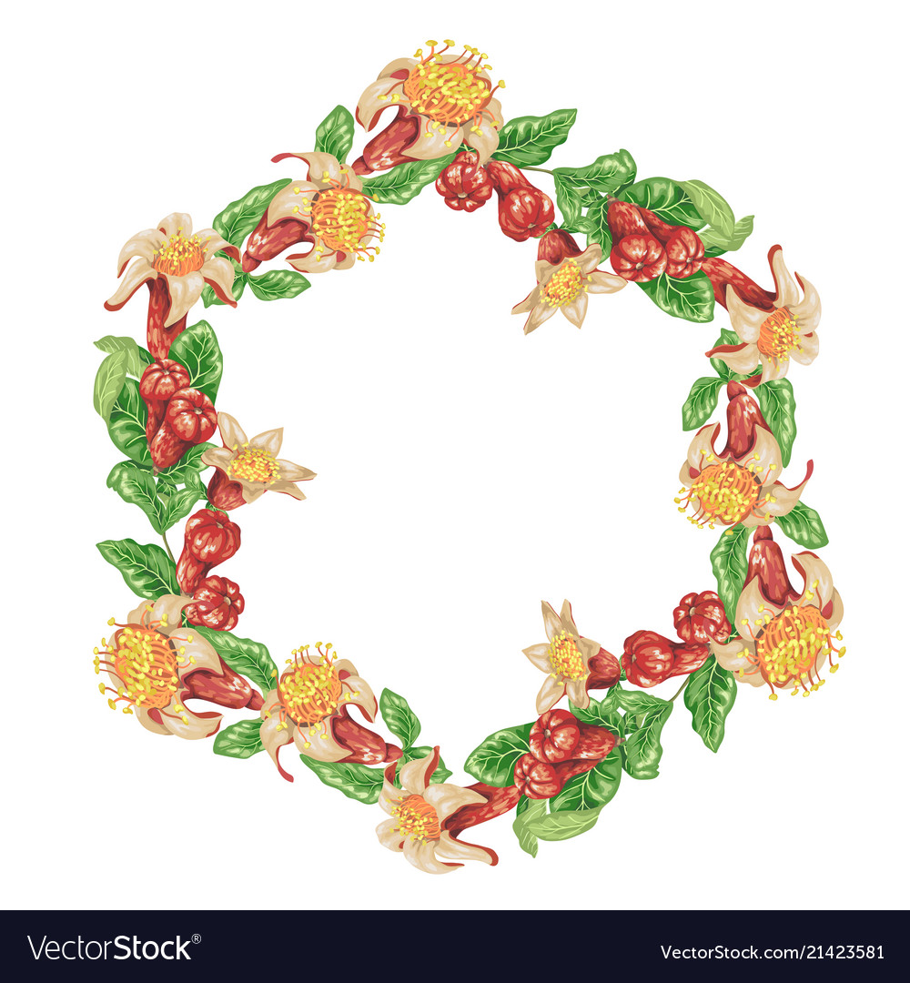 Wreath frame with pomegranate flowers and