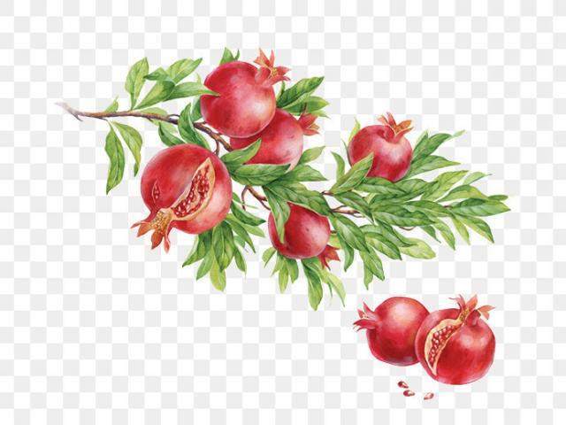 Free Pomegranate Clipart anaar, Download Free Clip Art on