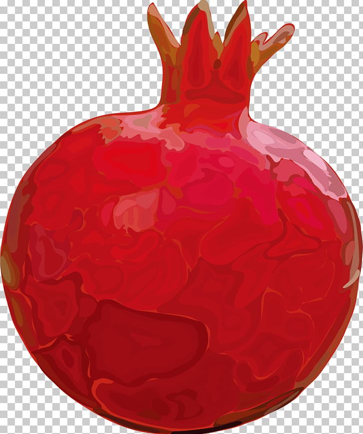 Fruit Pomegranate Euclidean PNG, Clipart, Cartoon, Cartoon