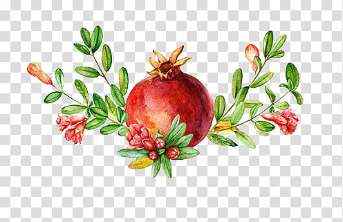 Pomegranate fruit transparent background PNG clipart