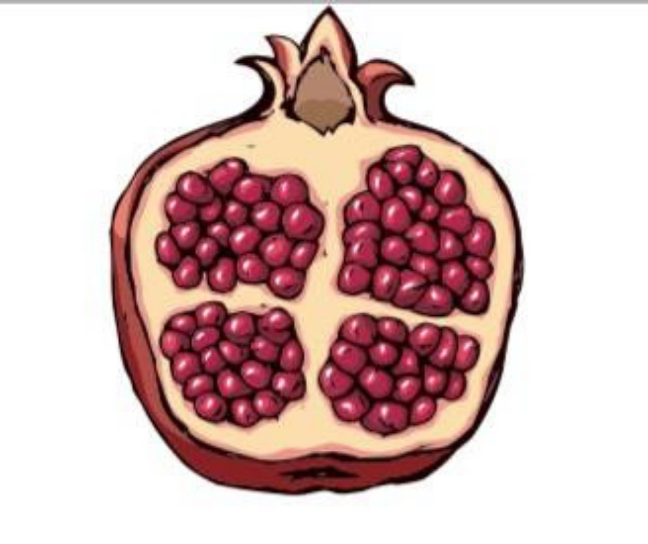 Pomegranate retreats 2018.