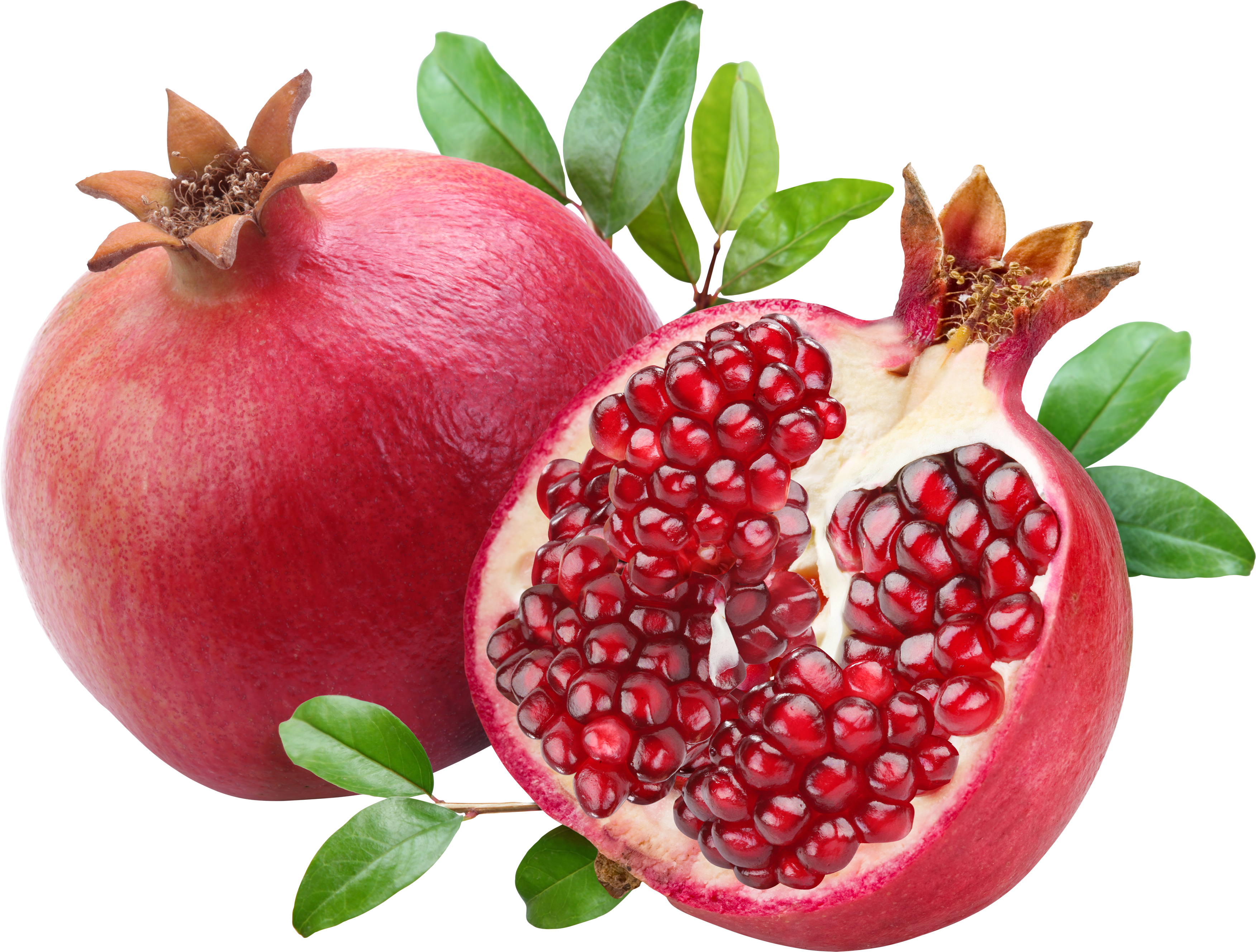 Pomegranate clipart high resolution, Pomegranate high