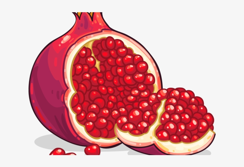 Pomegranate clipart high.