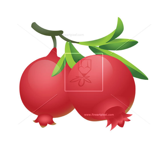 Pomegranate Fruit Clipart