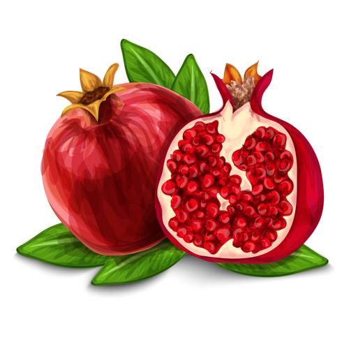 Pomegranate isolated poster.