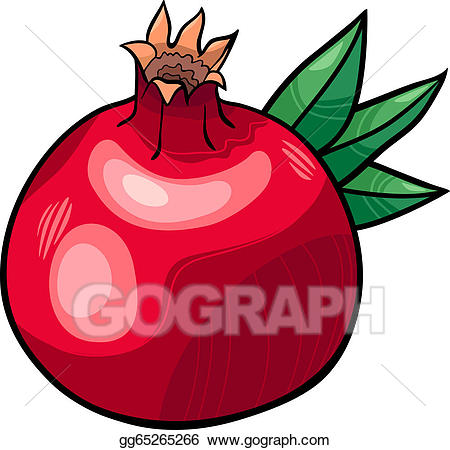 Vector stock pomegranate.