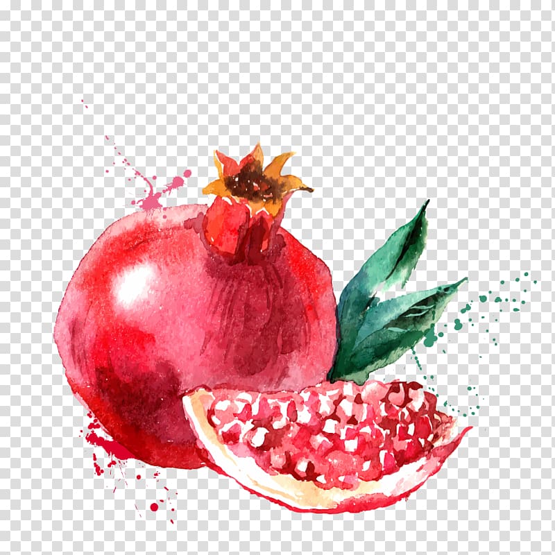 Pomegranate juice drawing.
