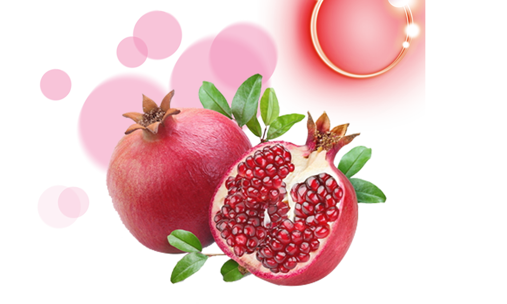Pomegranate juice Dried fruit