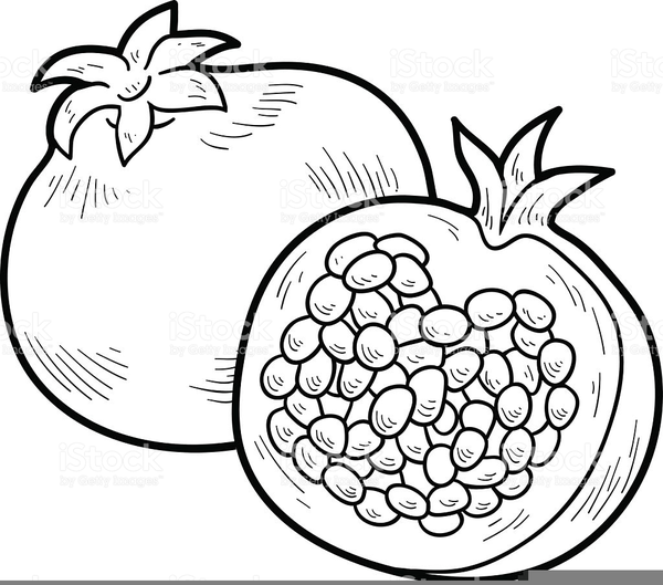 Pomegranate clipart black and white clipart images gallery