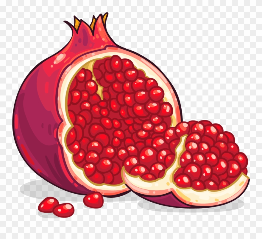Pomegranate clip art.