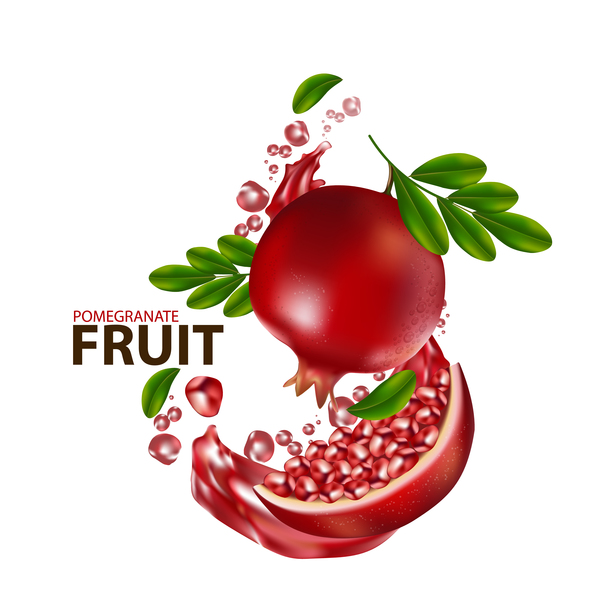 Realistic pomegranate fruit illustration vector