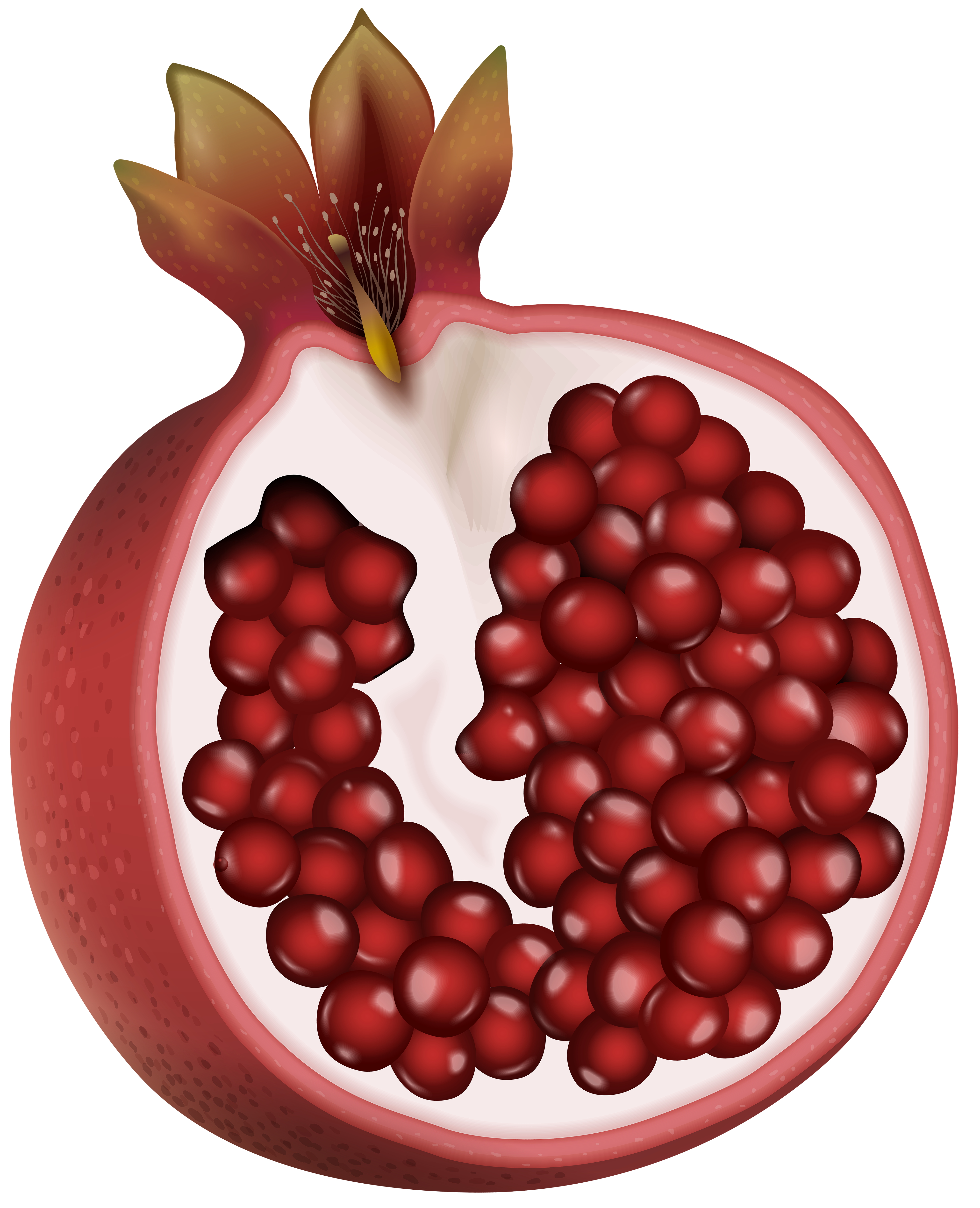 Red pomegranate png.
