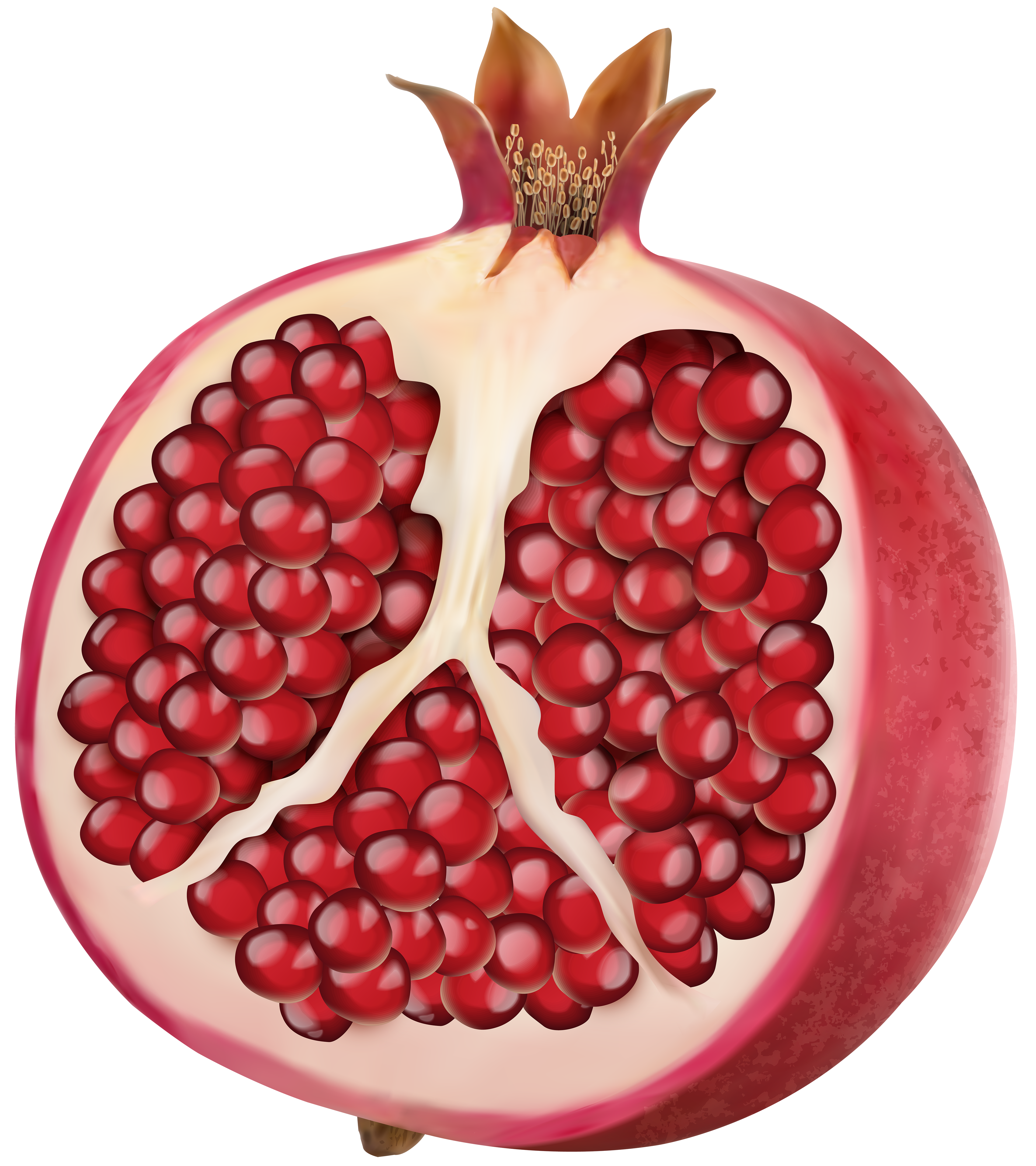 Pomegranate png clip.