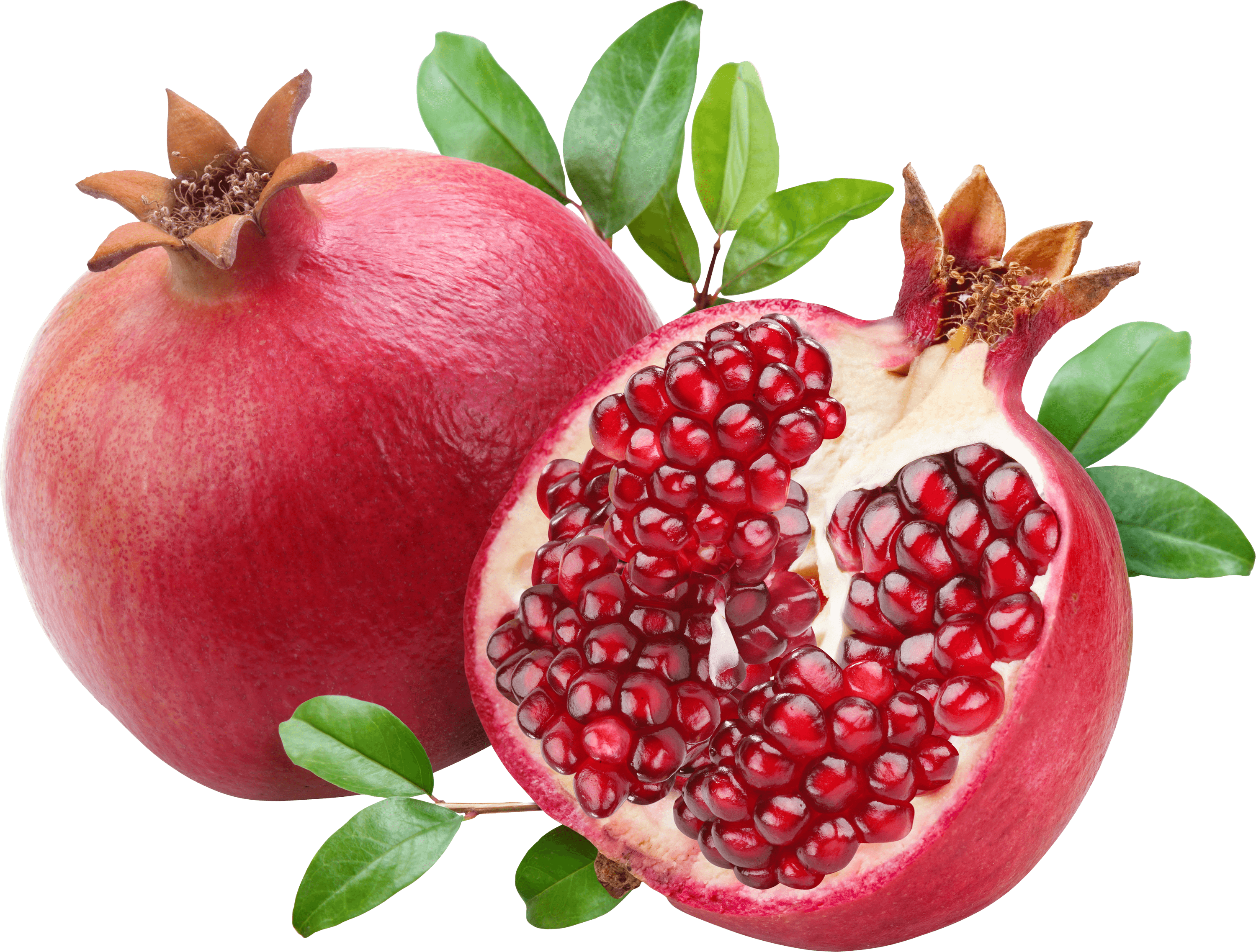 Open Duo Pomegranate transparent PNG
