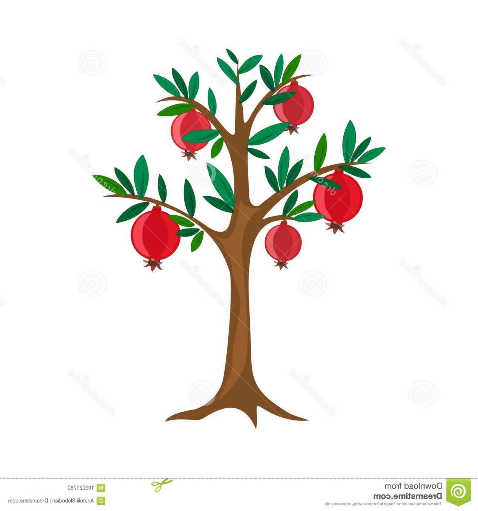 Pomegranate Tree Vector Tree Fruit Vector Summer Pomegranate