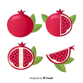 Pomegranate vectors photos.