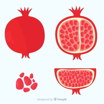 Pomegranate vectors photos.