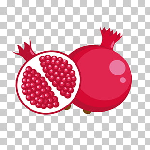 366 vector pomegranate.
