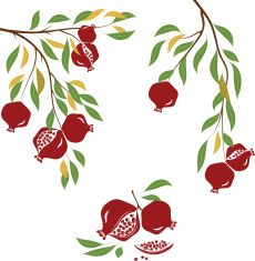 Pomegranate vector art illustration