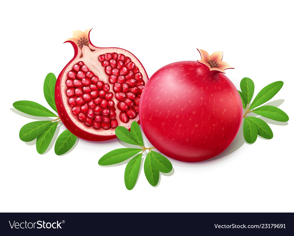 Ripe juicy pomegranate.