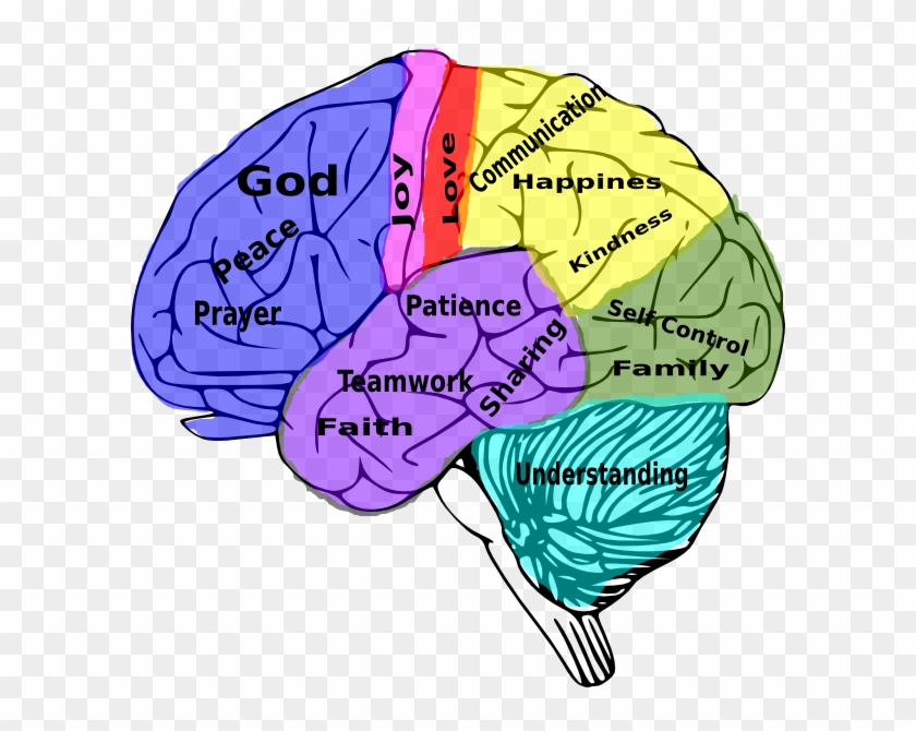 psychology clipart brain