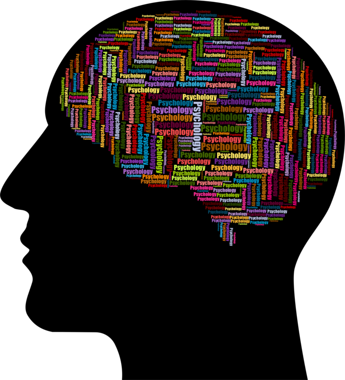 Brain,Organ,Human Behavior PNG Clipart