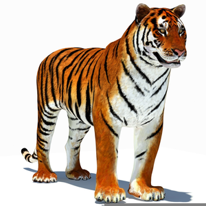 Free Tiger Clipart Images