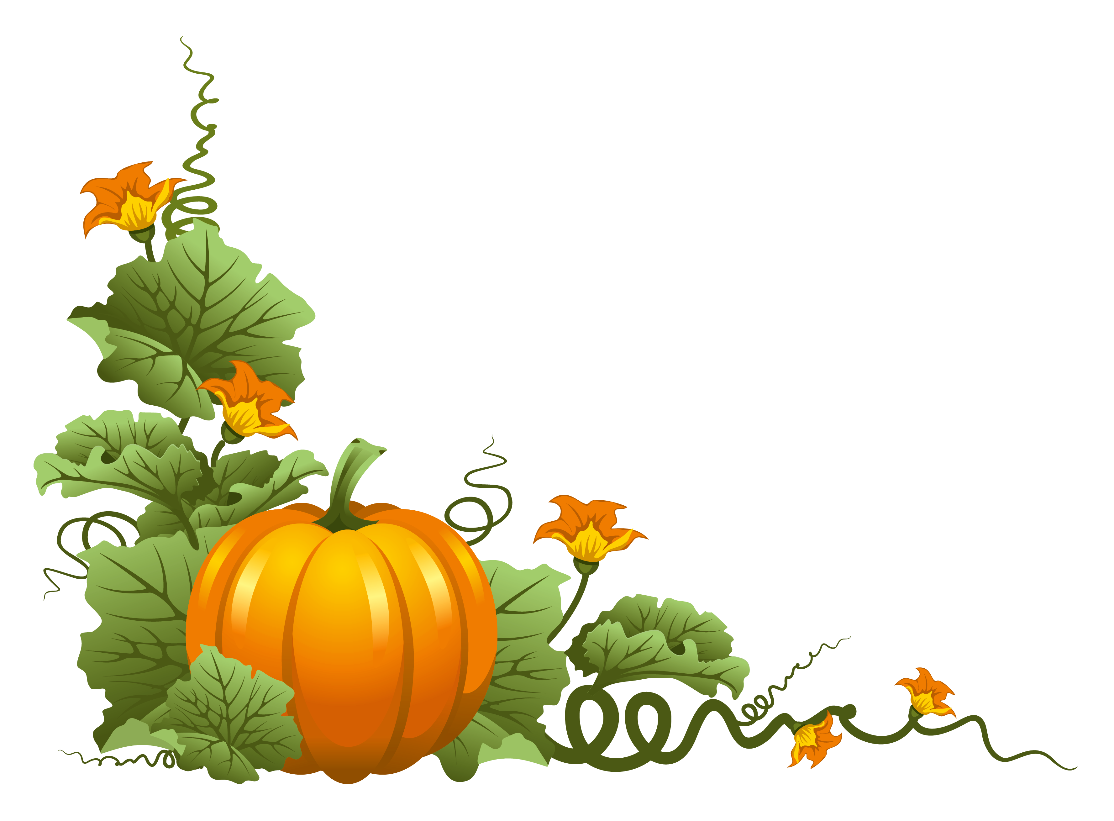 Thanksgiving Pumpkin Clip art