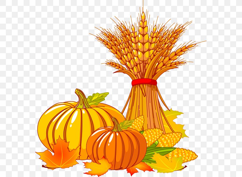 Thanksgiving Autumn Turkey Clip Art, PNG,