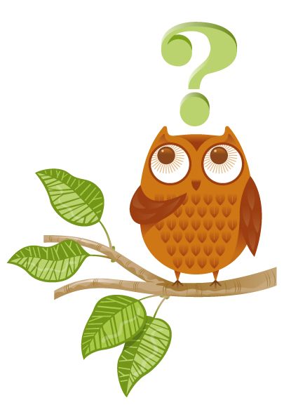 Owl with a question