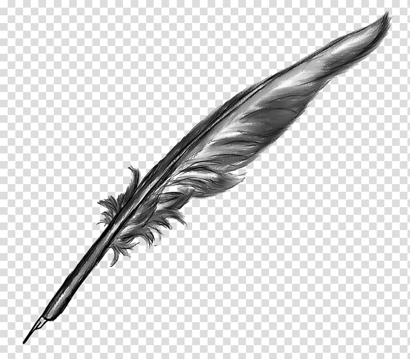 quill clipart clear background