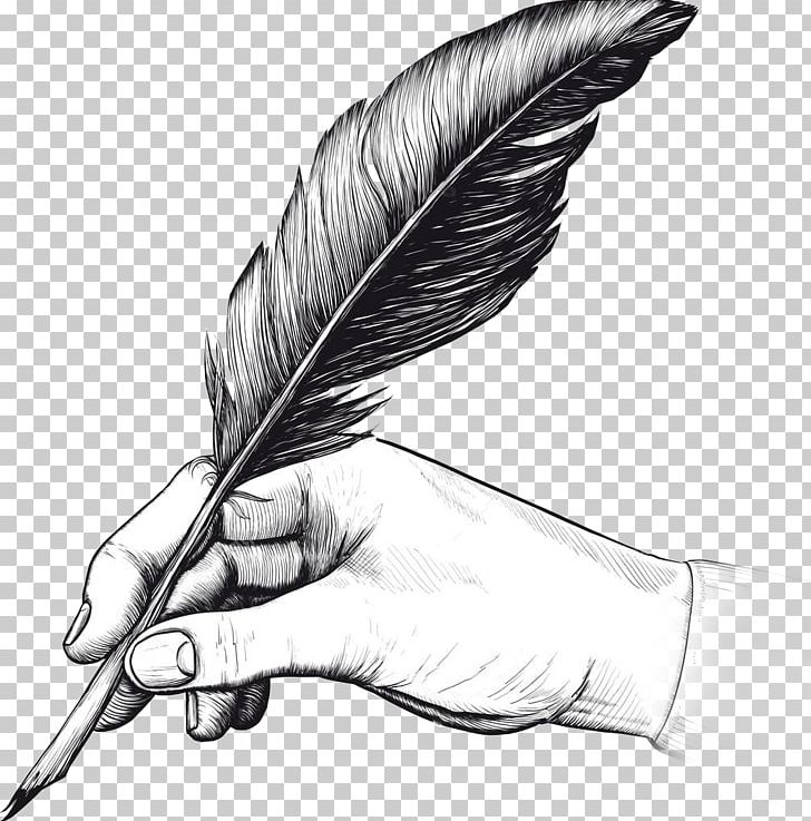 Quill Fountain Pen Drawing Writing PNG, Clipart, Animals