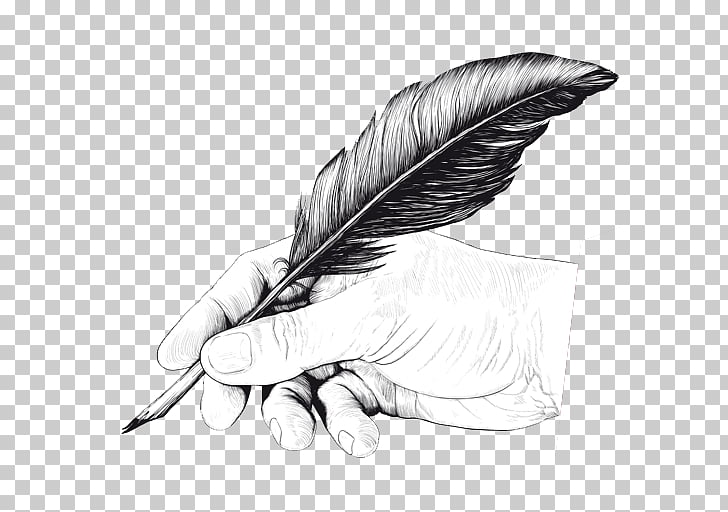 Quill Pen Drawing Feather, pen PNG clipart