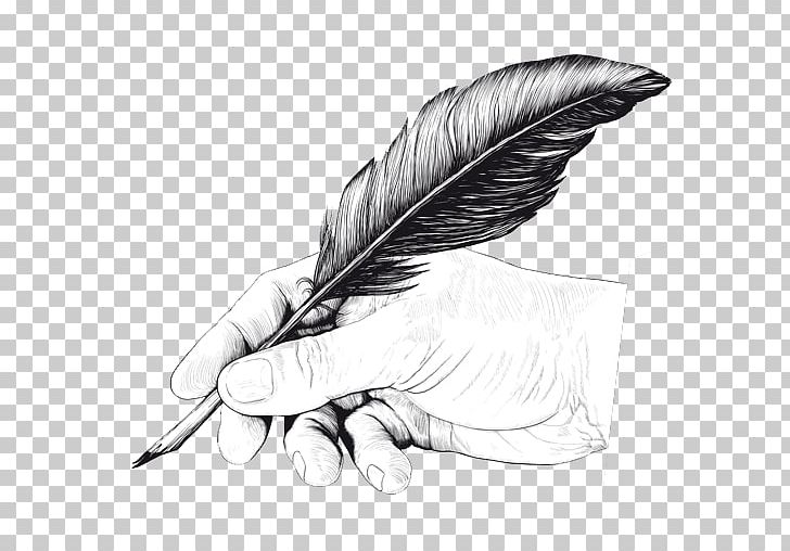 Quill Pen Drawing Feather PNG, Clipart, Black And White