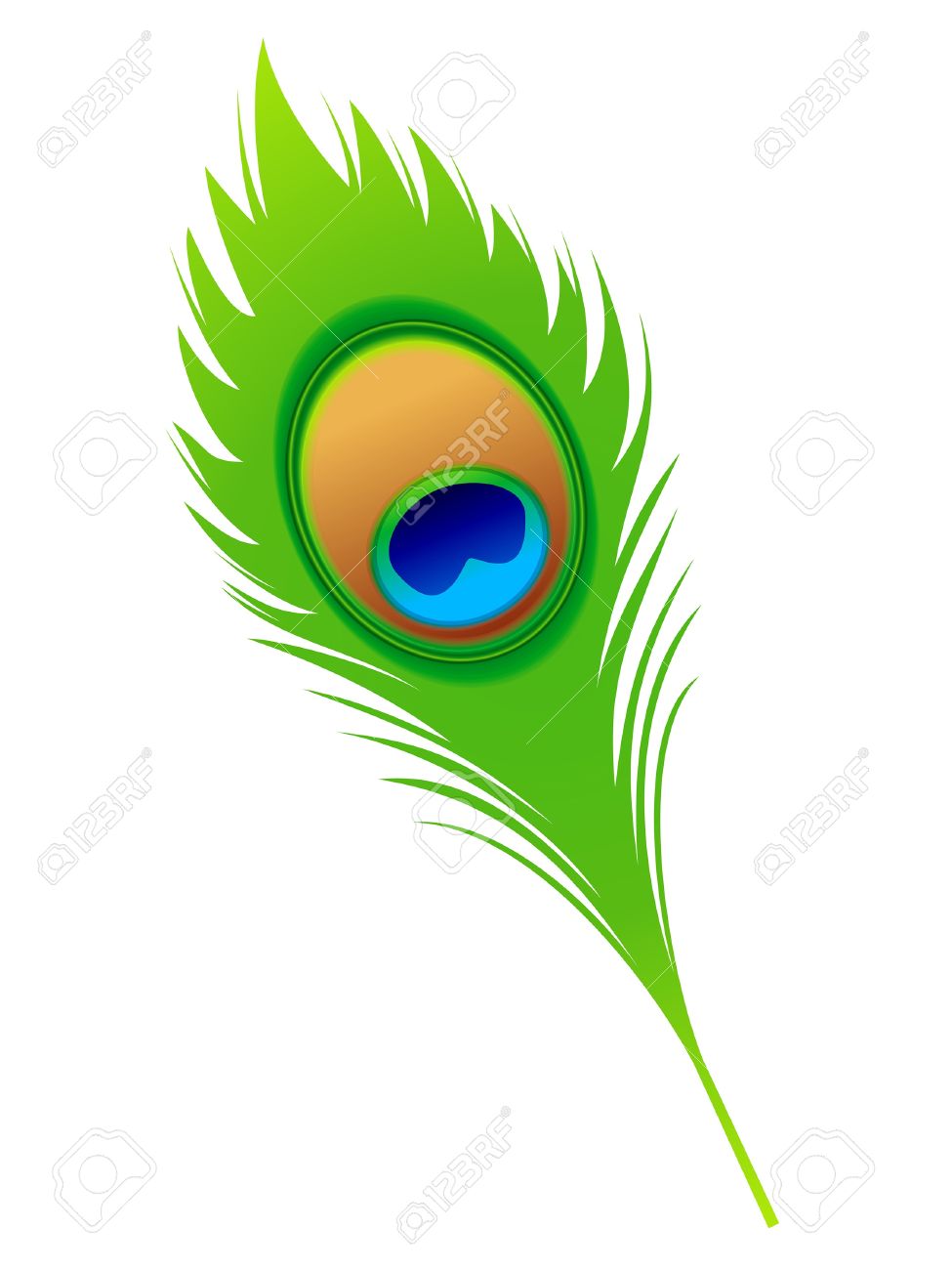 Peacock feather clipart.