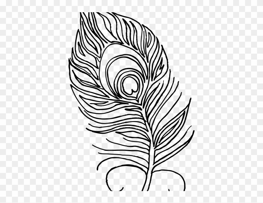 Download Quill clipart peacock pictures on Cliparts Pub 2020!