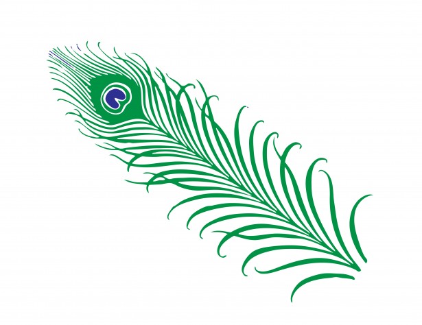 Peacock Feather Clipart Free Stock Photo