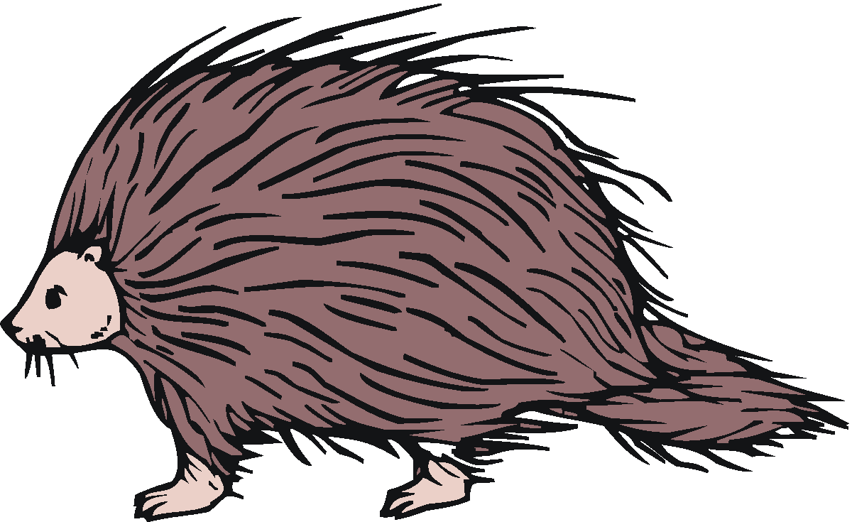 quill clipart porcupine