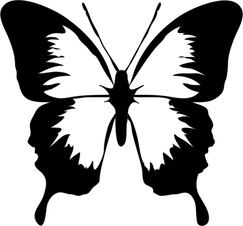 Butterfly clip art bitmap