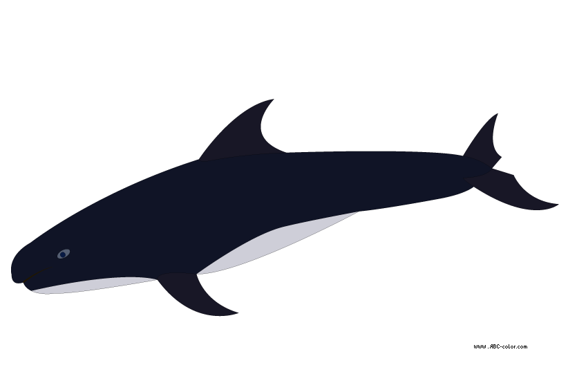 Dolphins clipart bitmap.