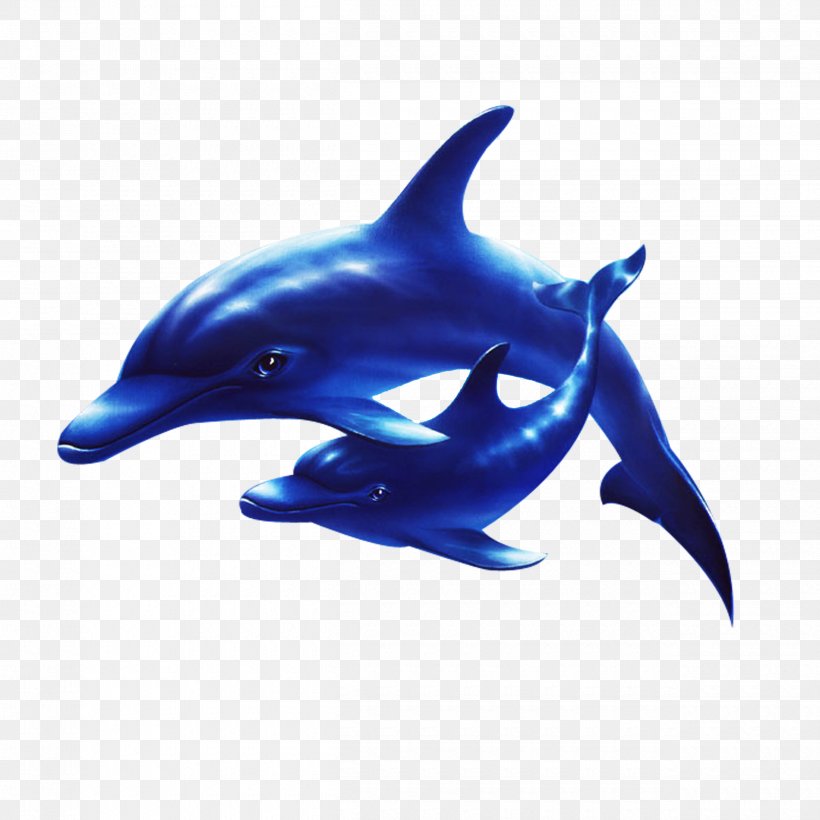 Dolphin sea clip.