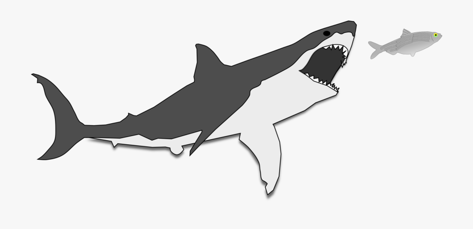 Shark Predation Computer Icons Line Art Cartoon