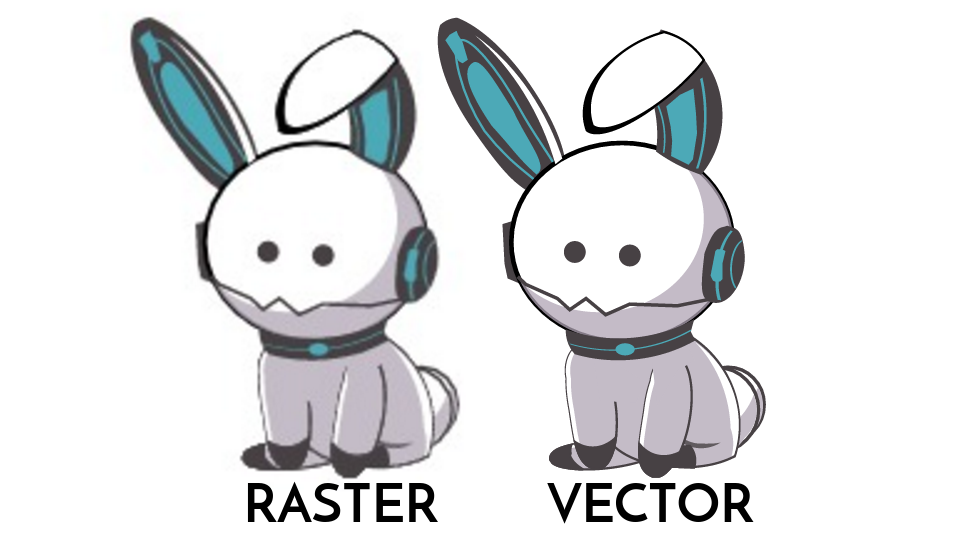What are vector.