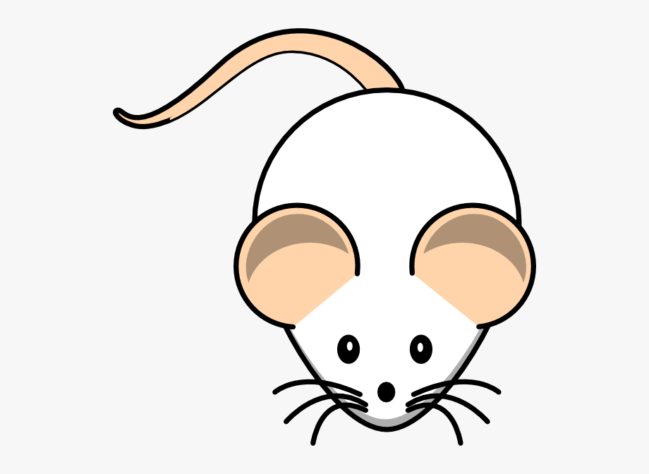 Rat clip art.