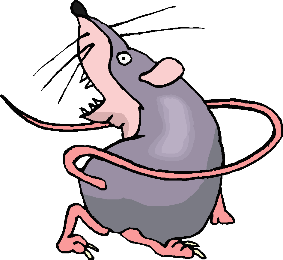 Free animated rat.